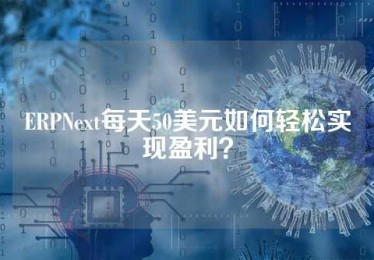 ERPNext每天50美元如何轻松实现盈利？