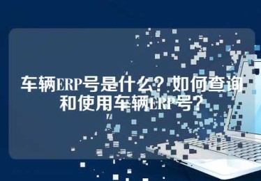 车辆ERP号是什么？如何查询和使用车辆ERP号？
