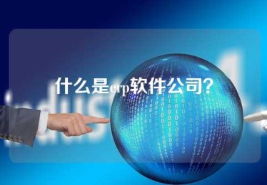 什么是erp软件公司？