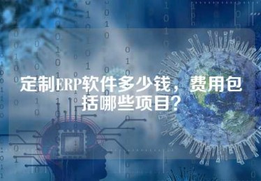 定制ERP软件多少钱，费用包括哪些项目？