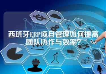 西班牙ERP项目管理如何提高团队协作与效率？