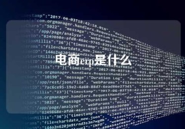 电商erp是什么