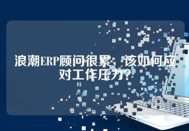 浪潮ERP顾问很累，该如何应对工作压力？