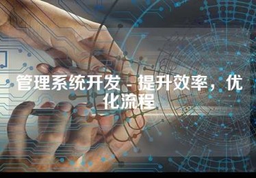管理系统开发 - 提升效率，优化流程