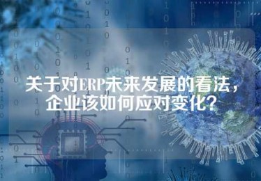 关于对ERP未来发展的看法，企业该如何应对变化？