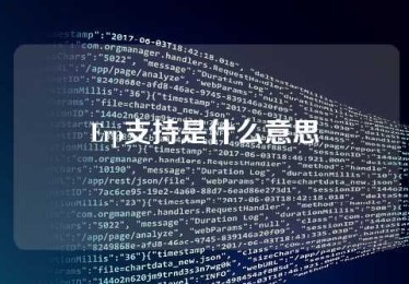 Erp支持是什么意思