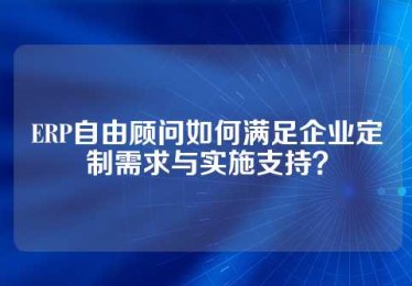 ERP自由顾问如何满足企业定制需求与实施支持？