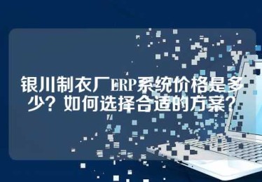 银川制衣厂ERP系统价格是多少？如何选择合适的方案？