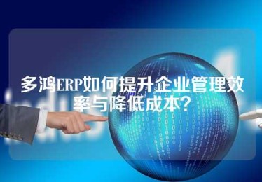 多鸿ERP如何提升企业管理效率与降低成本？