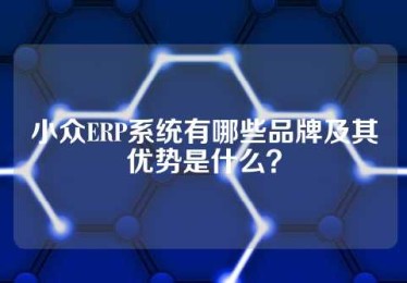 小众ERP系统有哪些品牌及其优势是什么？