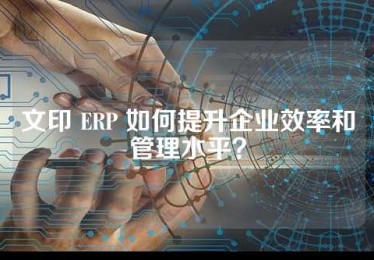 文印 ERP 如何提升企业效率和管理水平？
