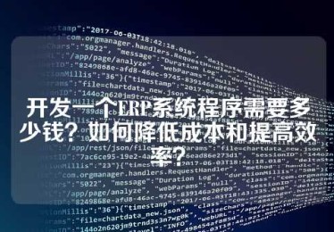 开发一个ERP系统程序需要多少钱？如何降低成本和提高效率？