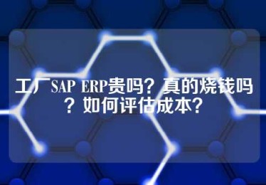 工厂SAP ERP贵吗？真的烧钱吗？如何评估成本？