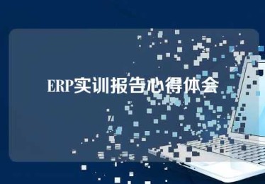 ERP实训报告心得体会
