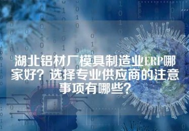 湖北铝材厂模具制造业ERP哪家好？选择专业供应商的注意事项有哪些？