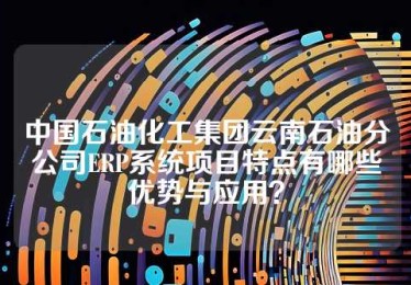 中国石油化工集团云南石油分公司ERP系统项目特点有哪些优势与应用？