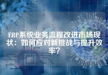 ERP系统业务流程改进市场现状：如何应对新挑战与提升效率？