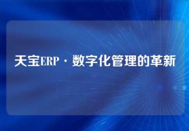 天宝ERP·数字化管理的革新
