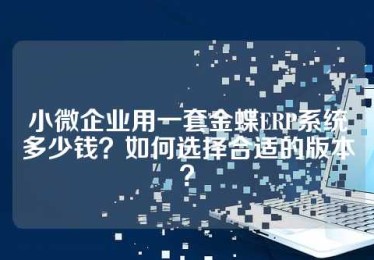 小微企业用一套金蝶ERP系统多少钱？如何选择合适的版本？