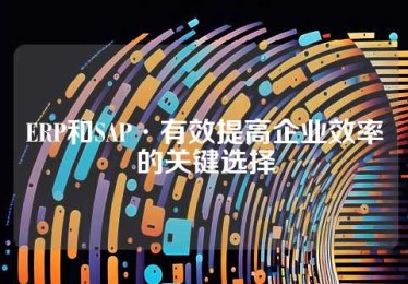 ERP和SAP·有效提高企业效率的关键选择