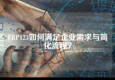 ERP123如何满足企业需求与简化流程？
