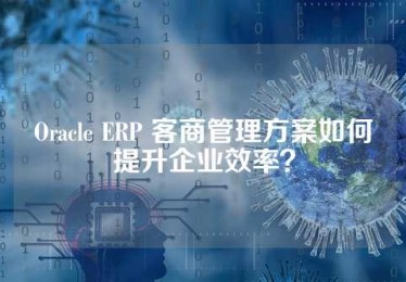 Oracle ERP 客商管理方案如何提升企业效率？