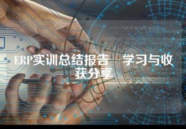 ERP实训总结报告•学习与收获分享