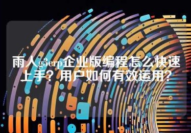 雨人g3erp企业版编程怎么快速上手？用户如何有效运用？