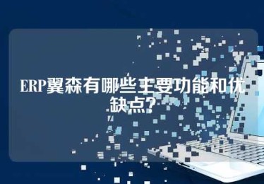 ERP翼森有哪些主要功能和优缺点？
