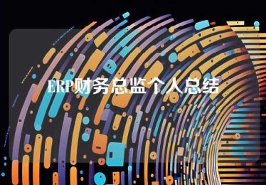 ERP财务总监个人总结