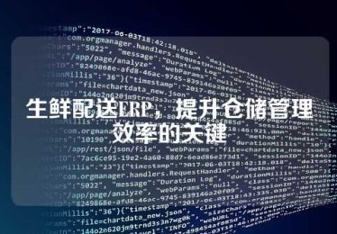 生鲜配送ERP，提升仓储管理效率的关键