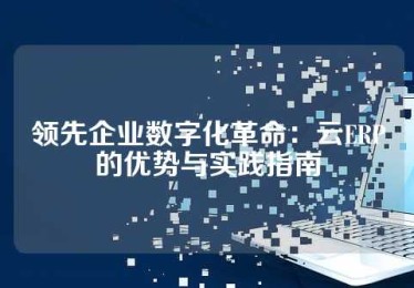 领先企业数字化革命：云ERP的优势与实践指南