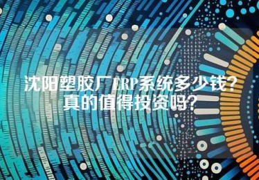 沈阳塑胶厂ERP系统多少钱？真的值得投资吗？