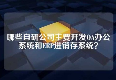 哪些自研公司主要开发OA办公系统和ERP进销存系统？