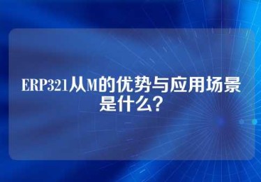 ERP321从M的优势与应用场景是什么？