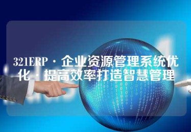321ERP·企业资源管理系统优化·提高效率打造智慧管理