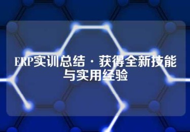 ERP实训总结·获得全新技能与实用经验