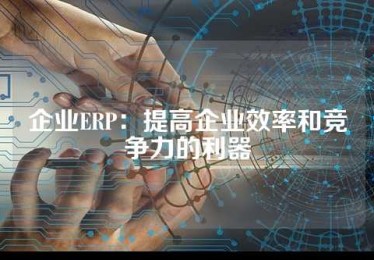 企业ERP：提高企业效率和竞争力的利器