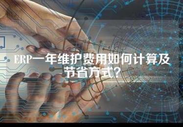 ERP一年维护费用如何计算及节省方式？