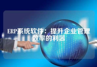 ERP系统软件：提升企业管理效率的利器