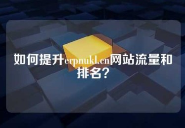 如何提升erpnukl.cn网站流量和排名？