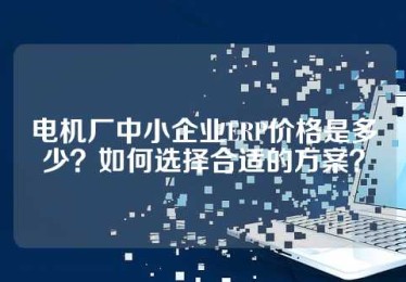 电机厂中小企业ERP价格是多少？如何选择合适的方案？