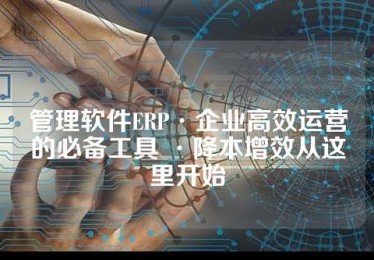 管理软件ERP·企业高效运营的必备工具 ·降本增效从这里开始