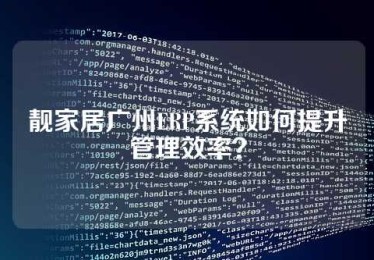 靓家居广州ERP系统如何提升管理效率？