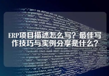 ERP项目描述怎么写？最佳写作技巧与实例分享是什么？