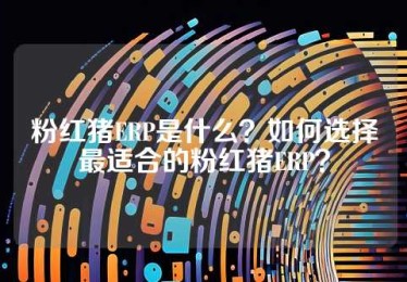 粉红猪ERP是什么？如何选择最适合的粉红猪ERP？