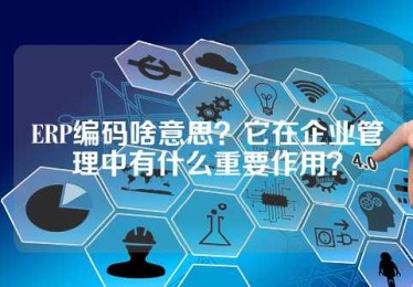 ERP编码啥意思？它在企业管理中有什么重要作用？