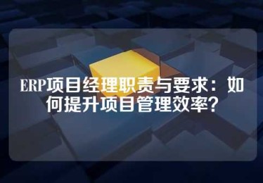 ERP项目经理职责与要求：如何提升项目管理效率？