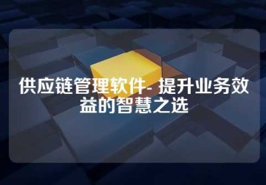 供应链管理软件- 提升业务效益的智慧之选