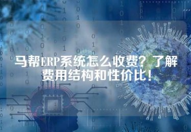 马帮ERP系统怎么收费？了解费用结构和性价比！